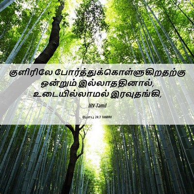 Picture 06 - யோபு 24:7 TAMIRV - குளிரிலே - Bible Verse Picture