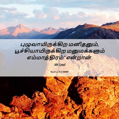 Picture 06 - யோபு 25:6 TAMIRV - புழுவாயிருக்கிற - Bible Verse Picture
