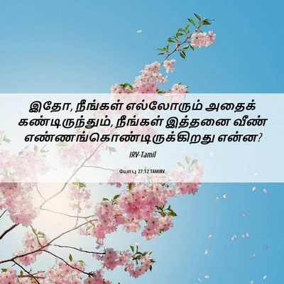 Picture 06 - யோபு 27:12 TAMIRV - இதோ, நீங்கள் - Bible Verse Picture