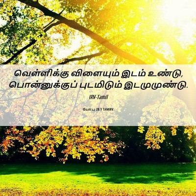 Picture 06 - யோபு 28:1 TAMIRV - வெள்ளிக்கு - Bible Verse Picture