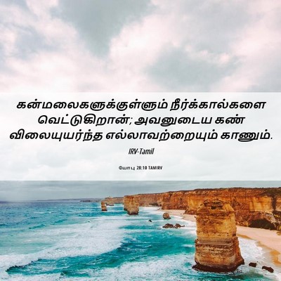 Picture 06 - யோபு 28:10 TAMIRV -  - Bible Verse Picture