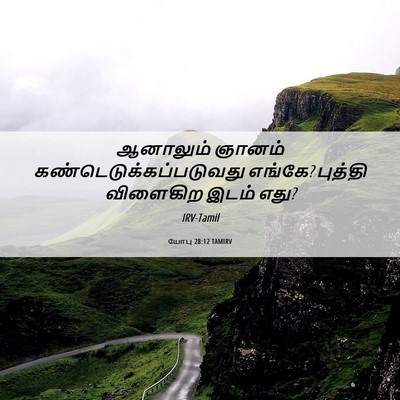 Picture 06 - யோபு 28:12 TAMIRV - ஆனாலும் ஞானம் - Bible Verse Picture