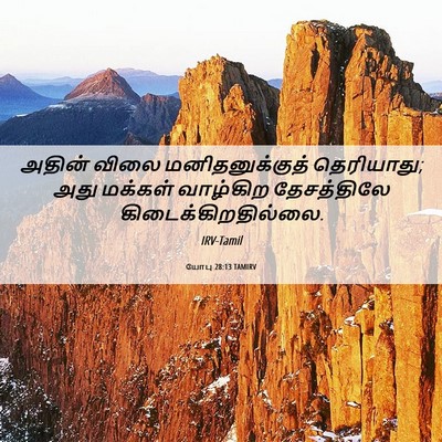 Picture 06 - யோபு 28:13 TAMIRV - அதின் விலை - Bible Verse Picture