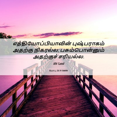 Picture 06 - யோபு 28:19 TAMIRV -  - Bible Verse Picture