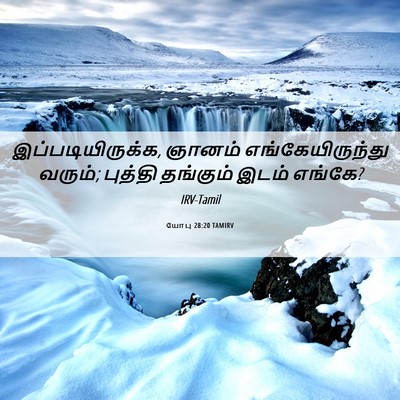 Picture 06 - யோபு 28:20 TAMIRV - இப்படியிருக்க, - Bible Verse Picture