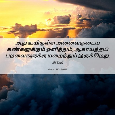 Picture 06 - யோபு 28:21 TAMIRV - அது உயிருள்ள - Bible Verse Picture