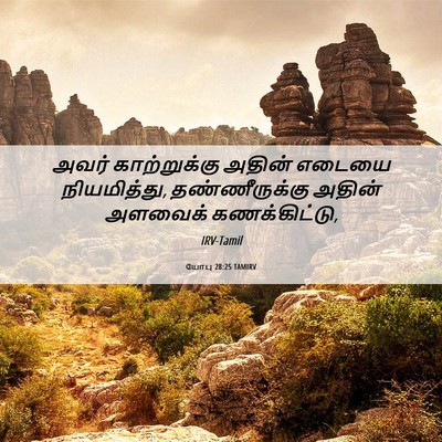 Picture 06 - யோபு 28:25 TAMIRV - அவர் காற்றுக்கு - Bible Verse Picture