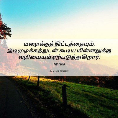 Picture 06 - யோபு 28:26 TAMIRV - மழைக்குத் - Bible Verse Picture