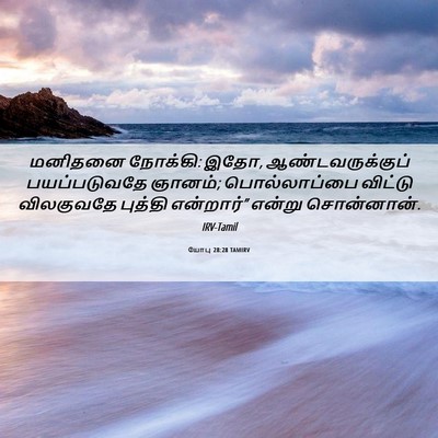 Picture 06 - யோபு 28:28 TAMIRV - மனிதனை நோக்கி: இதோ, - Bible Verse Picture