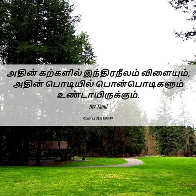 Picture 06 - யோபு 28:6 TAMIRV - அதின் கற்களில் - Bible Verse Picture