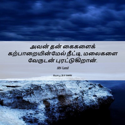 Picture 06 - யோபு 28:9 TAMIRV - அவன் தன் கைகளைக் - Bible Verse Picture