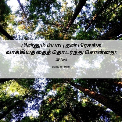 Picture 06 - யோபு 29:1 TAMIRV - பின்னும் யோபு தன் - Bible Verse Picture