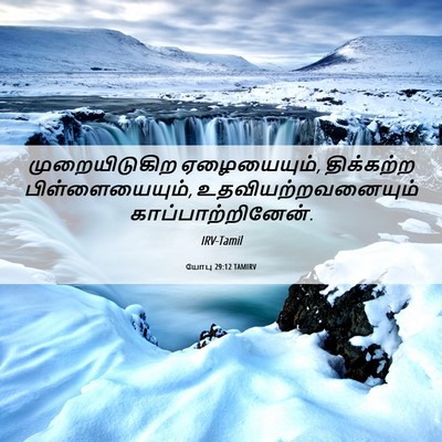 Picture 06 - யோபு 29:12 TAMIRV - முறையிடுகிற - Bible Verse Picture