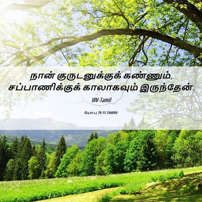 Picture 06 - யோபு 29:15 TAMIRV - நான் - Bible Verse Picture