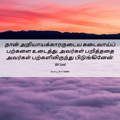 Picture 06 - யோபு 29:17 TAMIRV - நான் - Bible Verse Picture