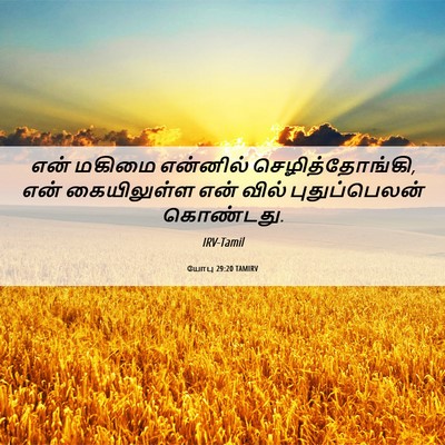 Picture 06 - யோபு 29:20 TAMIRV - என் மகிமை என்னில் - Bible Verse Picture
