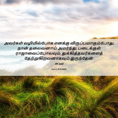 Picture 06 - யோபு 29:25 TAMIRV - அவர்கள் - Bible Verse Picture