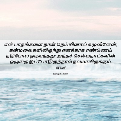 Picture 06 - யோபு 29:6 TAMIRV - என் பாதங்களை நான் - Bible Verse Picture