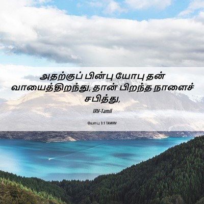 Picture 06 - யோபு 3:1 TAMIRV - அதற்குப் பின்பு - Bible Verse Picture