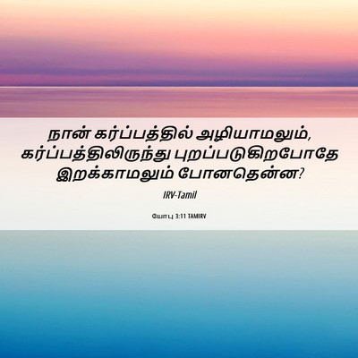 Picture 06 - யோபு 3:11 TAMIRV - நான் கர்ப்பத்தில் - Bible Verse Picture