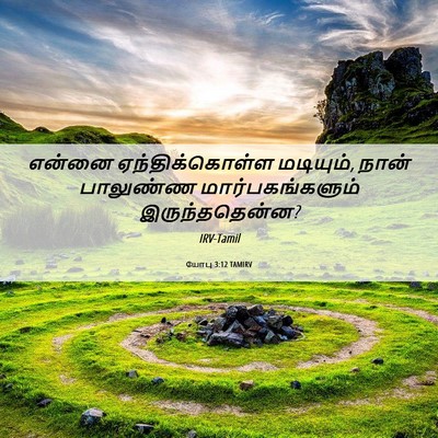 Picture 06 - யோபு 3:12 TAMIRV - என்னை - Bible Verse Picture