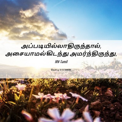 Picture 06 - யோபு 3:13 TAMIRV -  - Bible Verse Picture