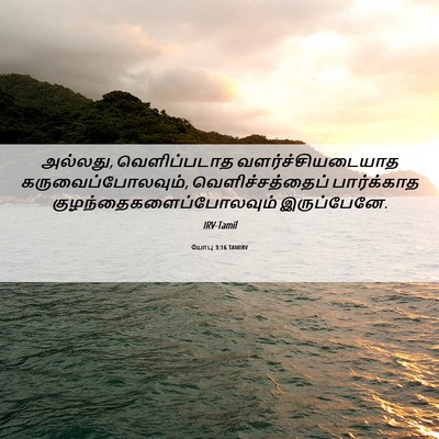 Picture 06 - யோபு 3:16 TAMIRV - அல்லது, - Bible Verse Picture