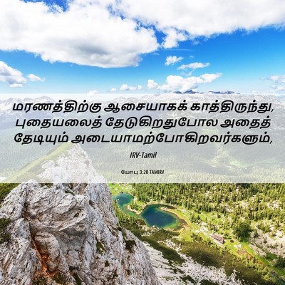 Picture 06 - யோபு 3:20 TAMIRV - மரணத்திற்கு - Bible Verse Picture