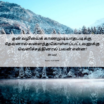 Picture 06 - யோபு 3:23 TAMIRV - தன் வழியைக் - Bible Verse Picture