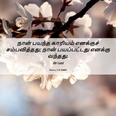 Picture 06 - யோபு 3:25 TAMIRV - நான் பயந்த - Bible Verse Picture