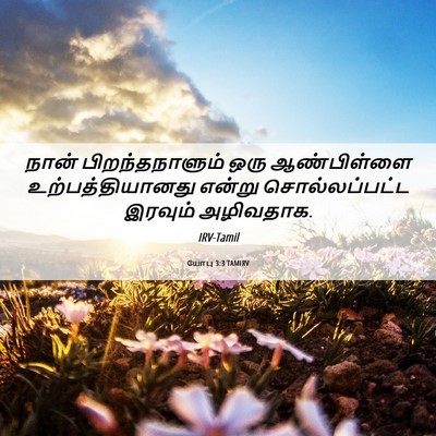 Picture 06 - யோபு 3:3 TAMIRV - நான் பிறந்தநாளும் - Bible Verse Picture