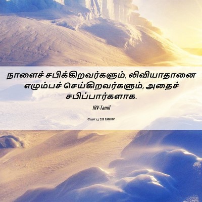 Picture 06 - யோபு 3:8 TAMIRV - நாளைச் - Bible Verse Picture