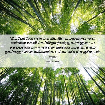 Picture 06 - யோபு 30:1 TAMIRV - “இப்போதோ என்னைவிட - Bible Verse Picture