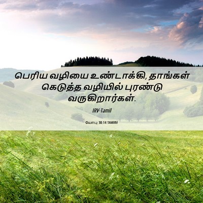 Picture 06 - யோபு 30:14 TAMIRV - பெரிய வழியை - Bible Verse Picture