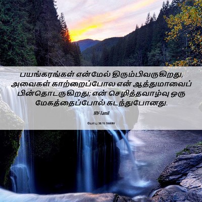 Picture 06 - யோபு 30:15 TAMIRV - பயங்கரங்கள் - Bible Verse Picture