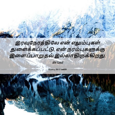 Picture 06 - யோபு 30:17 TAMIRV - இரவுநேரத்திலே என் - Bible Verse Picture