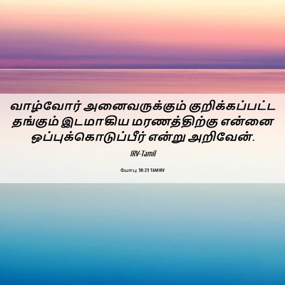 Picture 06 - யோபு 30:23 TAMIRV - வாழ்வோர் - Bible Verse Picture