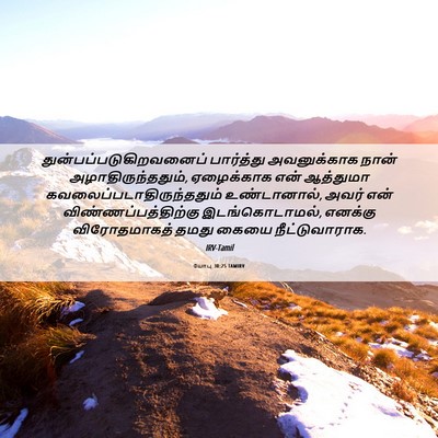 Picture 06 - யோபு 30:25 TAMIRV -  - Bible Verse Picture