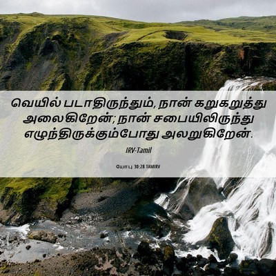 Picture 06 - யோபு 30:28 TAMIRV - வெயில் - Bible Verse Picture