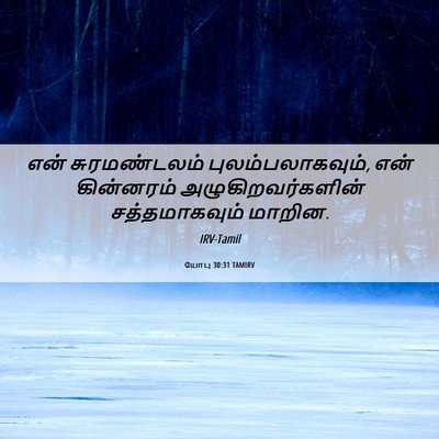 Picture 06 - யோபு 30:31 TAMIRV - என் சுரமண்டலம் - Bible Verse Picture