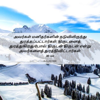 Picture 06 - யோபு 30:5 TAMIRV - அவர்கள் - Bible Verse Picture