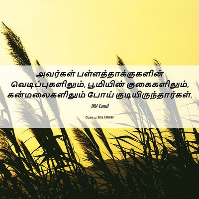 Picture 06 - யோபு 30:6 TAMIRV - அவர்கள் - Bible Verse Picture