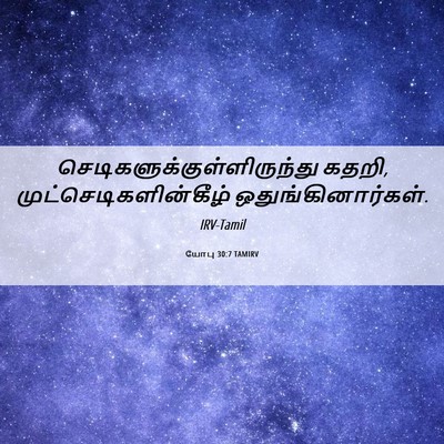 Picture 06 - யோபு 30:7 TAMIRV -  - Bible Verse Picture