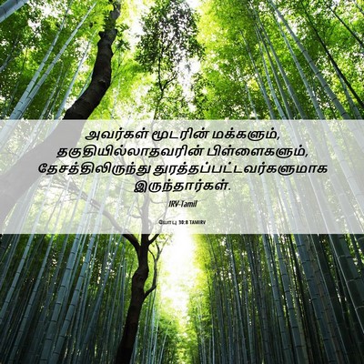 Picture 06 - யோபு 30:8 TAMIRV - அவர்கள் மூடரின் - Bible Verse Picture