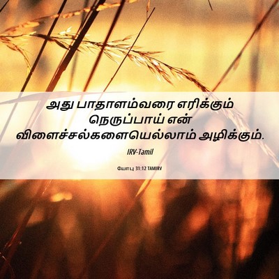 Picture 06 - யோபு 31:12 TAMIRV - அது பாதாளம்வரை - Bible Verse Picture