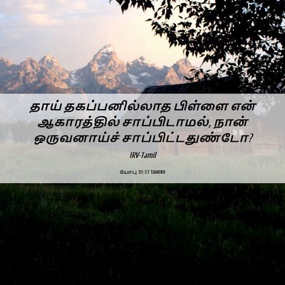 Picture 06 - யோபு 31:17 TAMIRV - தாய் தகப்பனில்லாத - Bible Verse Picture