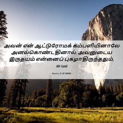 Picture 06 - யோபு 31:20 TAMIRV - அவன் என் - Bible Verse Picture
