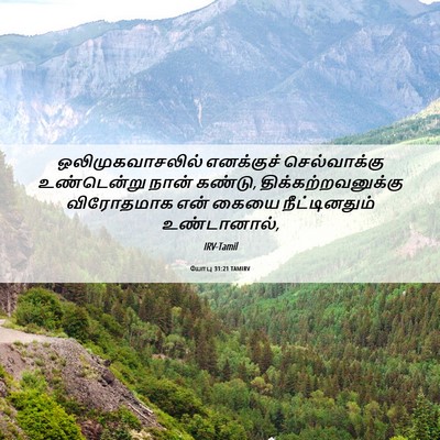 Picture 06 - யோபு 31:21 TAMIRV - ஒலிமுகவாசலில் - Bible Verse Picture