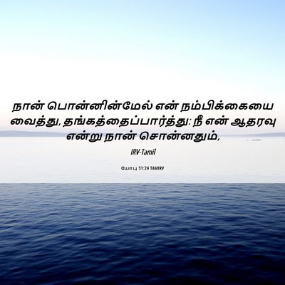 Picture 06 - யோபு 31:24 TAMIRV - நான் பொன்னின்மேல் - Bible Verse Picture