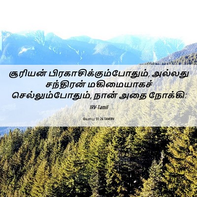 Picture 06 - யோபு 31:26 TAMIRV - சூரியன் - Bible Verse Picture